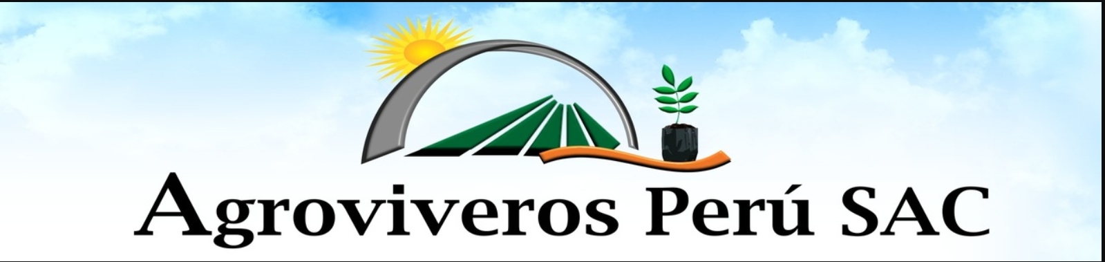 My Website